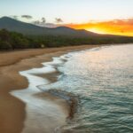 Maui Wildfires: What to Know & How to Help